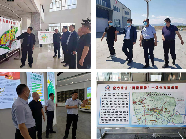 油脂集團：李普生一行赴新疆霍城調(diào)研、檢查工作