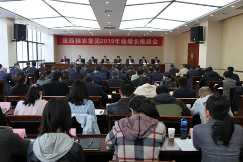 陜西糧農集團召開2019年穩(wěn)增長推進會