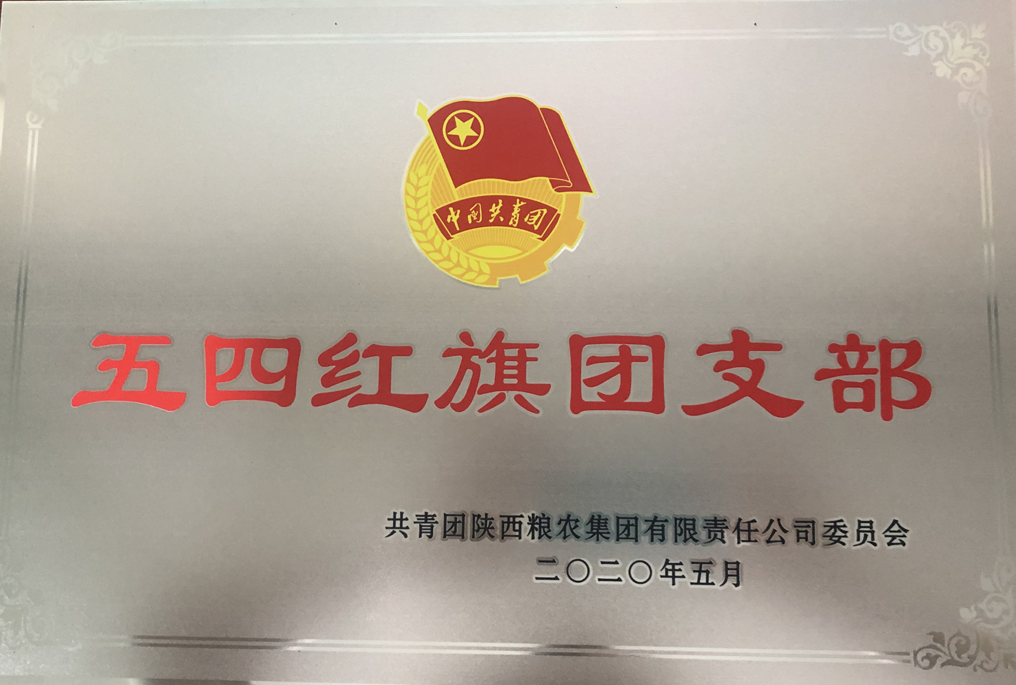 喜報(bào)！五四青年節(jié)，油脂集團(tuán)多位青年喜獲陜西糧農(nóng)集團(tuán)榮譽(yù)！