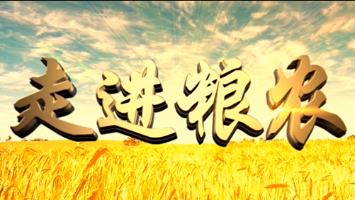 4分鐘，閱讀奮斗崛起中的糧農(nóng)集團(tuán)！