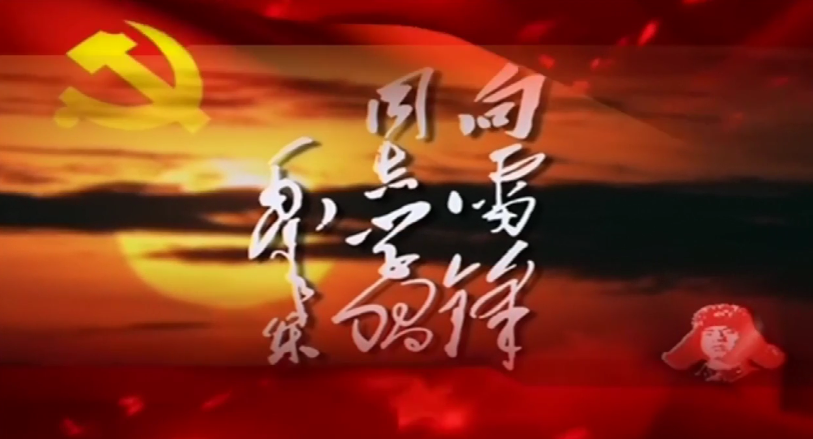   “學(xué)雷鋒，在行動(dòng)”——陜儲(chǔ)糧集團(tuán)華州庫學(xué)雷鋒青年說