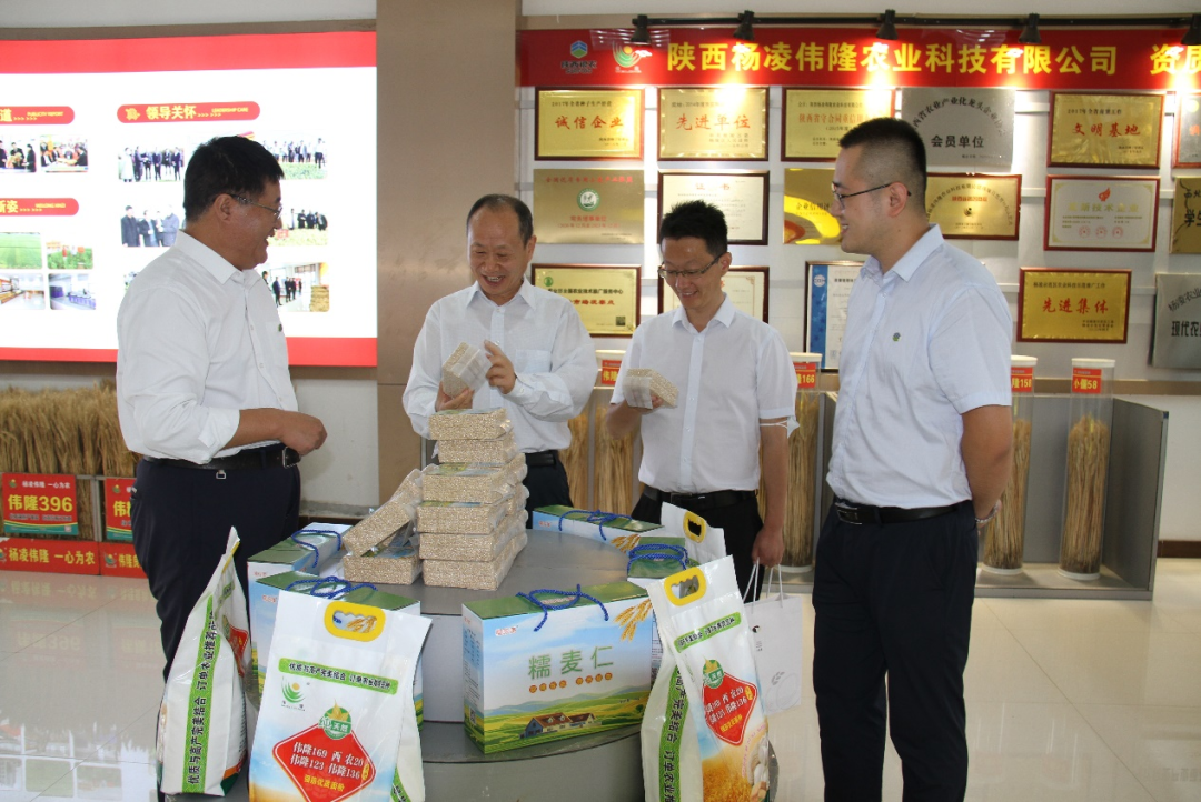 中國農(nóng)科院副院長馮忠武一行到楊凌偉隆調(diào)研指導