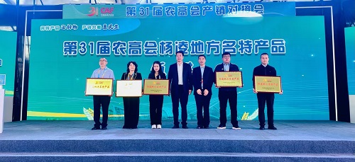 油脂集團(tuán)：“西瑞漢中基地小榨濃香菜籽油”榮獲第31屆農(nóng)高會“楊凌地方名特產(chǎn)品獎”